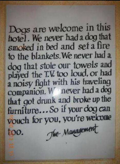 dog hotel